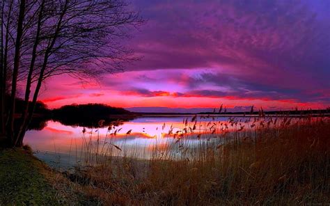 Amazing Purple Sunset Sunset Lake Nature Hd Wallpaper Wallpaperbetter