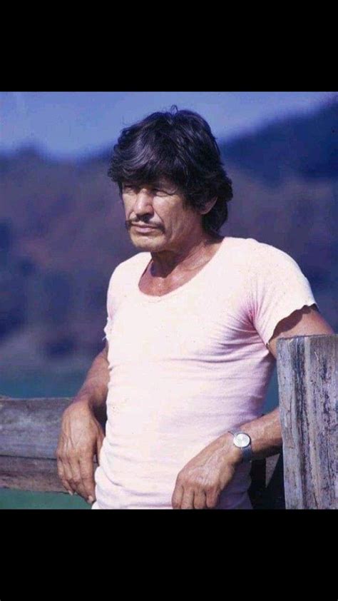 Pin By Sherri Tyler On Actor S Actresses Artist Actor Charles Bronson