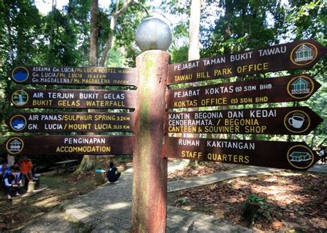 Tawau hills park (taman bukit tawau), was established in 1979, primarily as a protection for the water catchment area of tawau. Taman Bukit Tawau Blog Info Tawau | Yuk Pi Tawau Blog Info ...