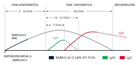 Test serológico + RT-PCR - Semad Salud