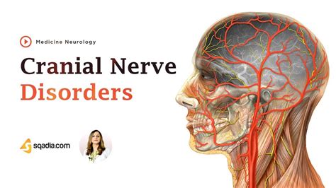 Cranial Nerve Disorders Neurology Video Lectures Medical Student