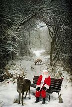 Image result for pictures of people sitting on a park bench in the christmas season