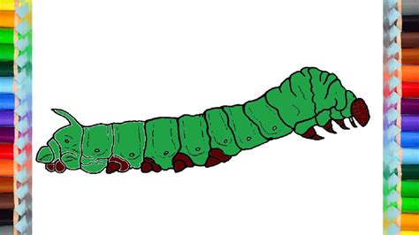 How To Draw A Silkworm Easy Step By Step Easy Animals To