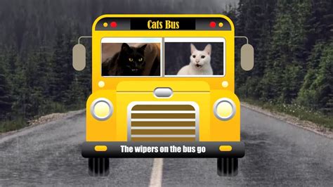 Cats Sing Wheels On The Bus More Nursery Rhymes And Kids Songs Cats