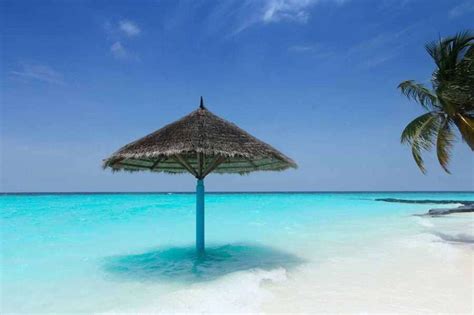 Beach Vacations All About Best Beaches In The World Seema