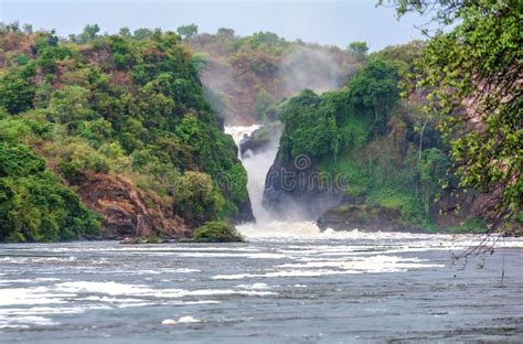 Murchison Falls Sul Fiume Di Victoria Nile Uganda Fotografia Stock
