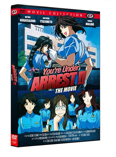 you re under arrest dvd zone 2 achat and prix fnac