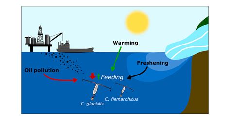 Cumulative Impacts Of Oil Pollution Ocean Warming And Coastal