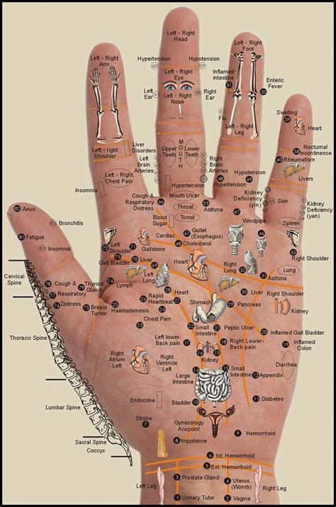 hand reflexology chart 1 free download brett s natural health