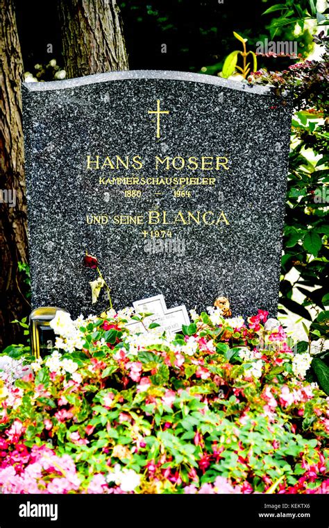 Vienna Austria Central Cemetery Wien Zentralfriedhof Grab Hans