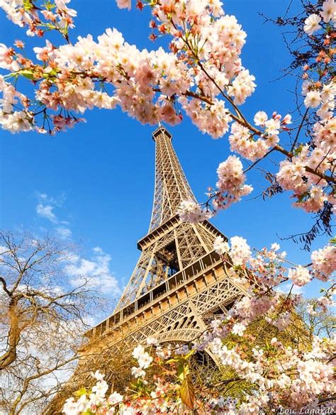 Spring In Paris 🌸🌸🌸 Picture By Loic80l Travel Pictures Outdoors