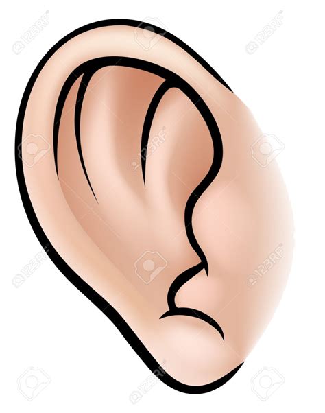 Cartoon Ears Transparent Images Png Play