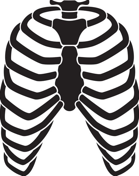 Human Rib Cage Skeleton Black Vector Illustration 5532535 Vector Art At