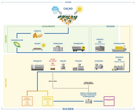 Diagrama De Flujo Del Proceso Cacao Productos Y Servicios Sucden