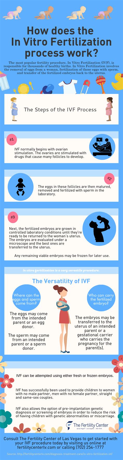 How The In Vitro Fertilization Process Works Infographic