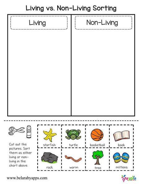 Living Non Living Kindergarten Worksheet