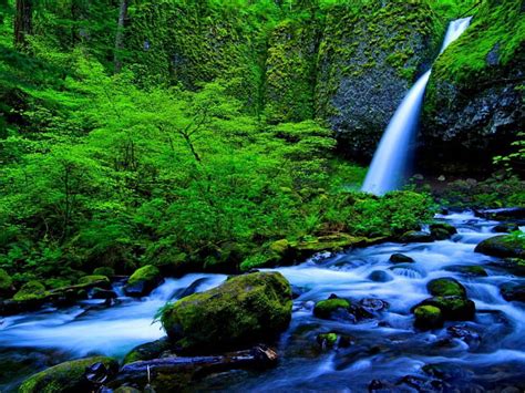 1920x1080px 1080p Free Download Forest Waterfall Stream Fall