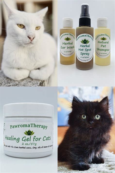 Natural Healing Products For Cats Natural Pet Care Travel Etsy