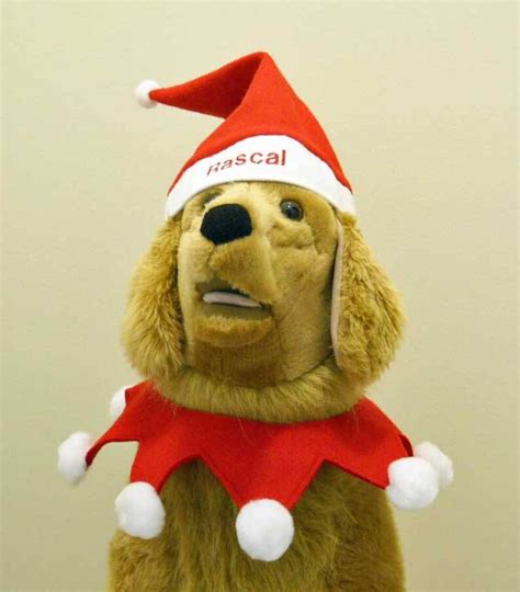 Christmas Dog Santa Hat Large Photo Prop Large Dog Santa Etsy