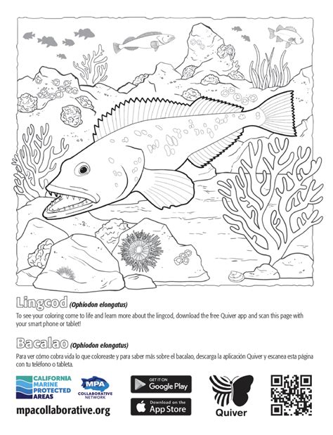 Quivervision 3d Augmented Reality Mpa Coloring Page Lingcodbacalao