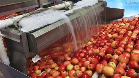 How To Make Apple Juice In Factory And Apple Harvest Apple Juice