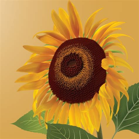 Khoa Thy S Journal Digital Illustration Project My Sunflower
