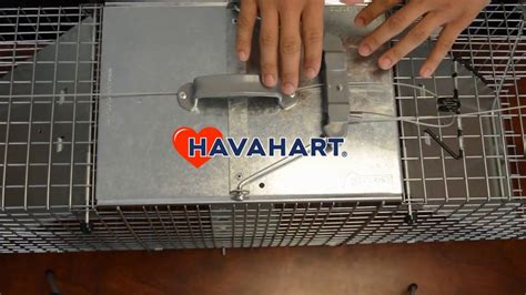 Havahart Easy Set Trap Video Youtube