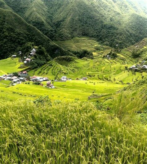 Batad Rice Terraces Batad Banaue Philippines Places Around The