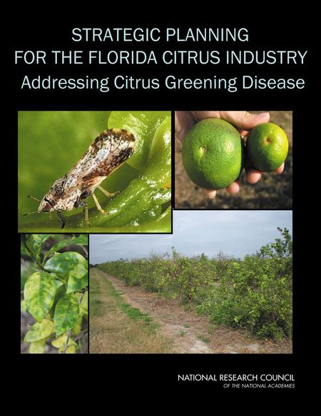 Appendixes Strategic Planning For The Florida Citrus Industry