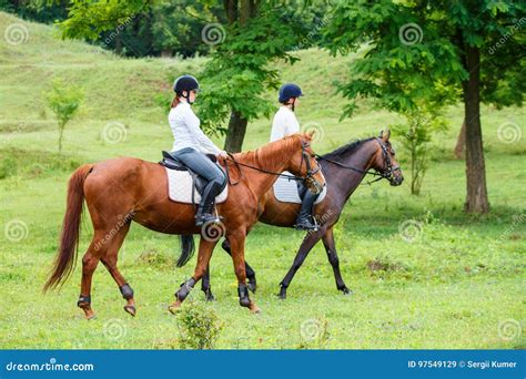 Two Young Women Riding Horse In Park Stock Image Image Of Meadow
