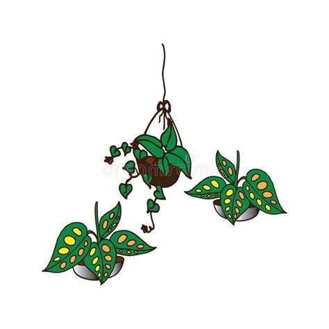 Hanging Plant Clipart Stock Illustrations 679 Hanging Plant Clipart