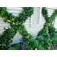Pretty Evergreen Vines Ideas For Home40  Garden