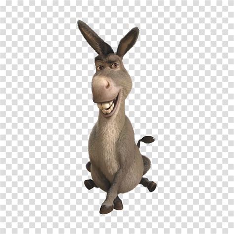 Donkey Princess Fiona Shrek Computer Icons Donkey