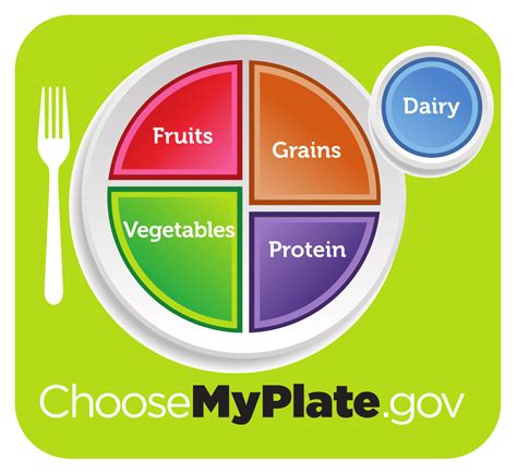 Myplate The New And Improved Food Pyramid For Kids