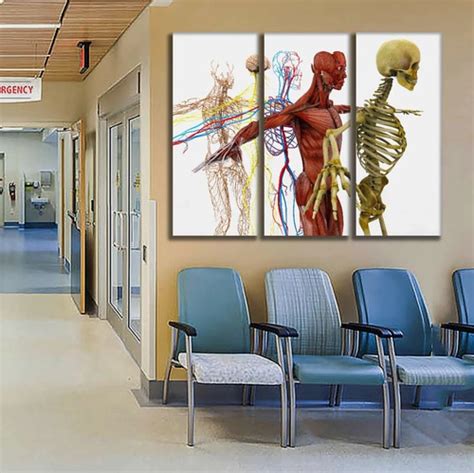 Set De 3 Caudros Decorativos Canvas Anatomía Humana 90x130cm Meses