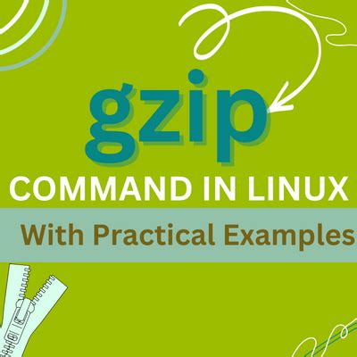 The Gzip Command In Linux 9 Practical Examples