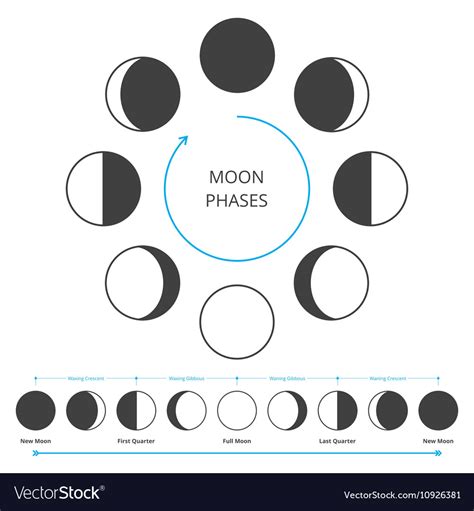 Moon Phases Icons Royalty Free Vector Image Vectorstock