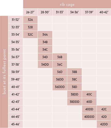 Bra Cup Size Chart In Order Best Picture Of Chart Anyimageorg