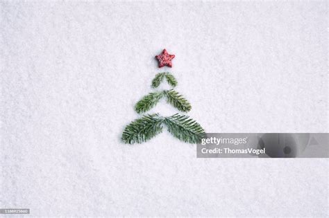 Pine Branche Christmas Tree Background Nature Snow White High Res Stock