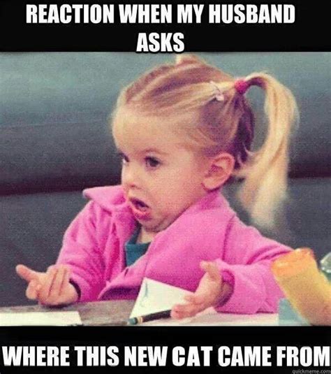 18 Crazy Cat Lady Memes To Give You New Vibes