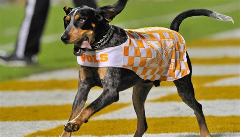 It became the 16th state of the union in 1796 and borders north carolina to the east; Vols Guide to Tennessee Homecoming 2017: Intro to Rocky Top