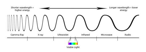 Choosing Ultraviolet Light Bulbs Lightbulbs Direct
