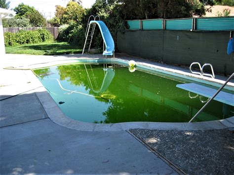Plaster is the classic choice for concrete pools, but what are the are you getting an inground concrete pool, or do you already have one? Pool Plaster Remodeling & Repair - Your Pool Plaster
