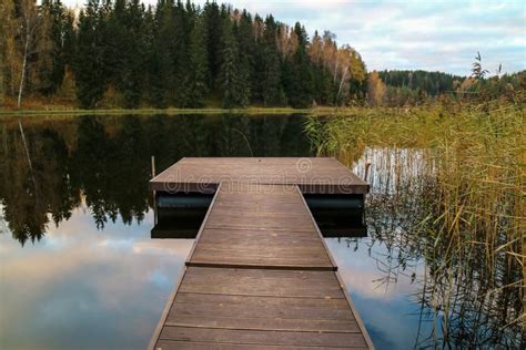 Wooden Dock On Autumn Lake Stock Image Image Of Forest 10262771