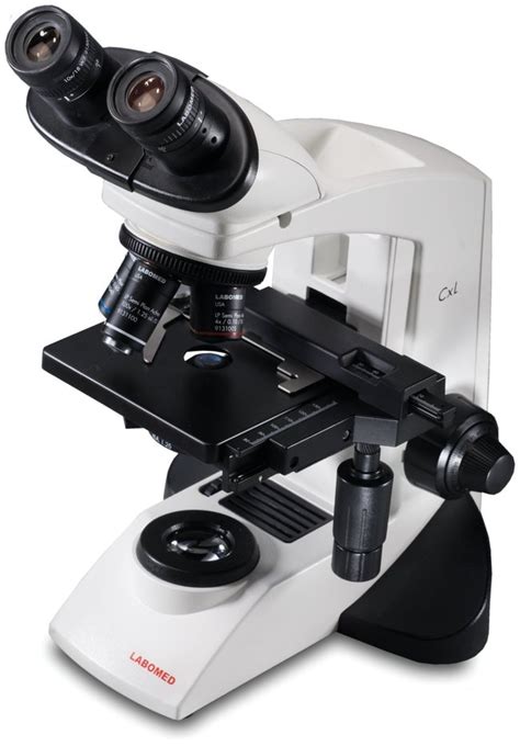 Labomed CxL Binocular Laboratory Microscope Microscopes Compound Microscopes Fisher Scientific