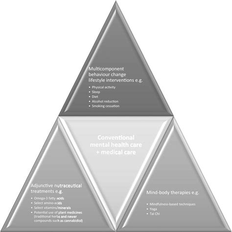 An Integrative Model Of Healthcare Download Scientific Diagram