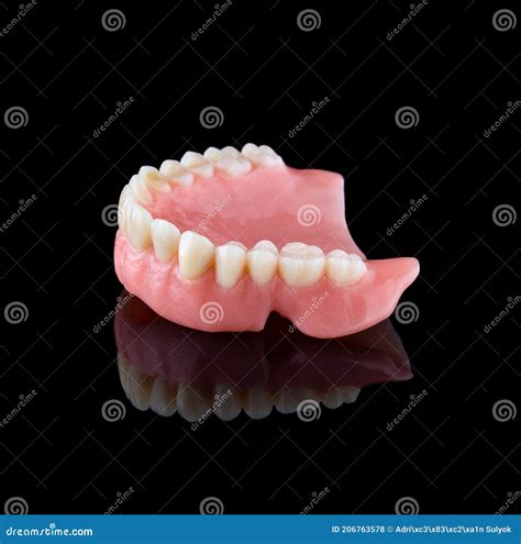 Complete Maxillary Denture Stock Photo Image Of Dentist 206763578