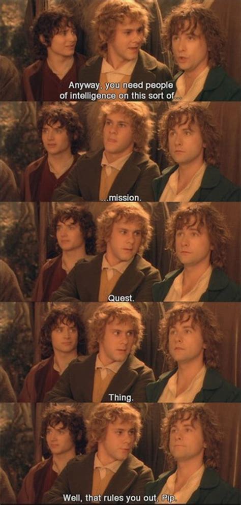 Funny Lord Of The Rings Quotes Dump A Day