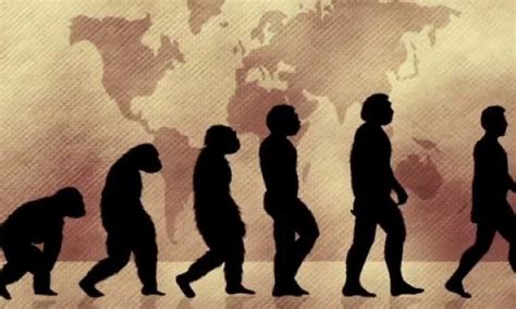 La Teoría De La Evolución De Charles Darwin Cumple 157 Años
