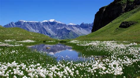 Die 94 Besten Frühling Und Natur Hintergrundbilder Hd